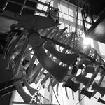 Bones, Bones: How to Articulate a Whale