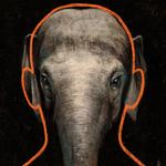 The Elephant in the Courtroom