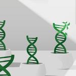 The Big Idea: Is It Time to Stop Talking About 'Nature Versus Nurture'?